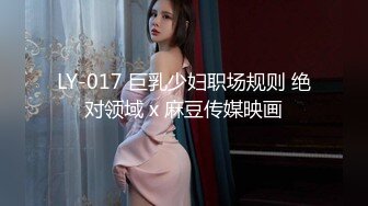 LY-017 巨乳少妇职场规则 绝对领域 x 麻豆传媒映画