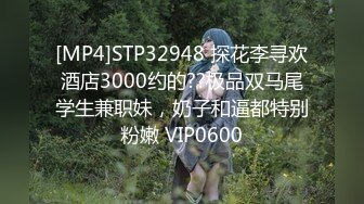 温泉旅馆的巨乳老板娘榨取新婚夫妇的丈夫的精子 赤濑尚子