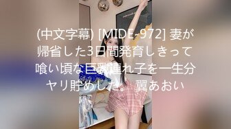 (中文字幕) [MIDE-972] 妻が帰省した3日間発育しきって喰い頃な巨乳連れ子を一生分ヤリ貯めした。 翼あおい