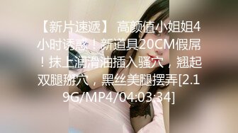 母狗老婆的骚逼2