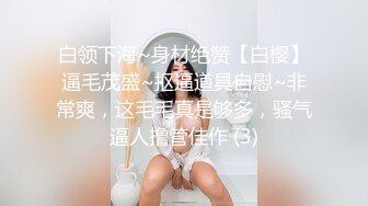 白领下海~身材绝赞【白樱】逼毛茂盛~抠逼道具自慰~非常爽，这毛毛真是够多，骚气逼人撸管佳作 (3)