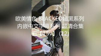 欧美情色 BLACKED媚黑系列 内嵌中文字幕系列 超清合集五【15v】 (12)