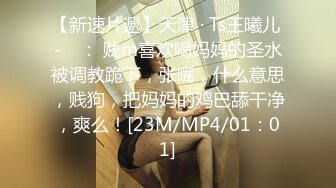 [MP4/1000M]4/22最新 厕拍大神潜入酒吧女厕开着小电筒偷拍坐台小姐姐尿尿VIP1196