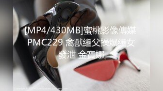 蜜桃传媒 pme-228 禽兽房东玩弄可爱女房客-吴文淇