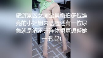 旅游景区女厕全景偷拍多位美女各种姿势嘘嘘各种美鲍一一呈现 (4)