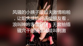 涩会传媒 SH-009 美女特工为了救哥哥不惜出卖身体