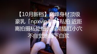 【10月新档】巅峰身材顶级豪乳「npxvip」OF私拍 近距离拍摄私处细长假屌插肛小穴不自觉地留下白浆