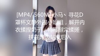 魅惑女仆