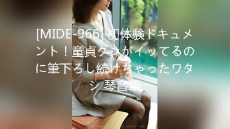 (HD1080P)(ダスッ！)(dasd00937)THE時間停止 憧れの女子アナに悪戯痴 勃起チ○ポこすり付けて孕ませナマ射精してやったww 初川みなみ