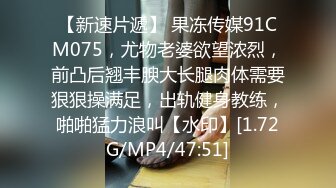 夫へ宛てた寝盗られビデオレター 成田あゆみ