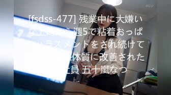 [fsdss-477] 残業中に大嫌いな上司から週5で粘着おっぱいハラスメントをされ続けて即イキ敏感体質に改善された女子社員 五十嵐なつ