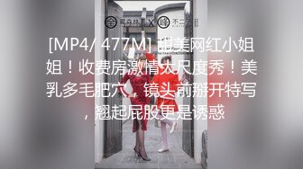 MDX-0204-报複名利女-凌薇