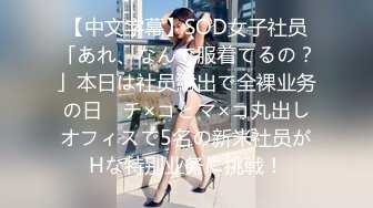 [MP4/ 1.37G]&nbsp;&nbsp; [中文字幕] DLDSS-265 不分早晚被盯上集團玩弄的人妻OL 美乃雀