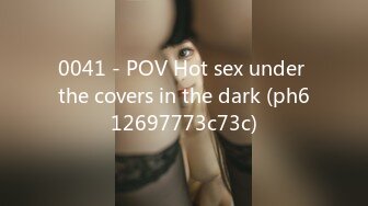 0041 - POV Hot sex under the covers in the dark (ph612697773c73c)