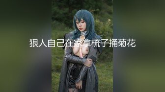 2024年3月秀人网女神【晚苏susu】高价出售精品性感黑丝空姐，揉奶漏奶头 ，美足尤物挑逗你的感官