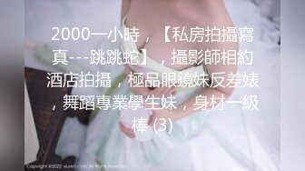 华人网黄刘玥闺蜜「Fanny Ly」「李月如」OF私拍 把玩具肉棒把兔女郎的小穴插得湿透了