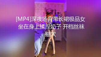 [MP4]深夜场背带长裙极品女 坐在身上揉捏奶子 开档丝袜掰穴