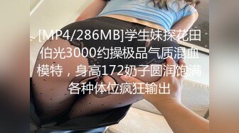 麻豆传媒 MD-0265 丰满汽车女销售的车震推销-莫夕慈