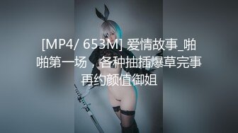 【麻豆传媒】MD-0261 放进去一下下就好-宋南伊