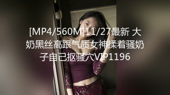 [MP4/ 742M] 淫荡骚女SM黑绳捆绑开档灰丝无毛逼滴蜡，红色高跟鞋翘屁股小皮鞭，灌肠假屌爆菊大黑牛震动