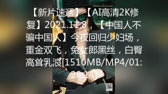 [MP4/ 507M] 重磅福利最新购买推特大神@powercn206别墅约炮极品颜值的广告公司平面女模特穿着钻石网袜高跟鞋激情啪啪