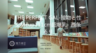 THE PERFECT GAL-接吻と性交Mcup111cm超爆乳- 西条るり